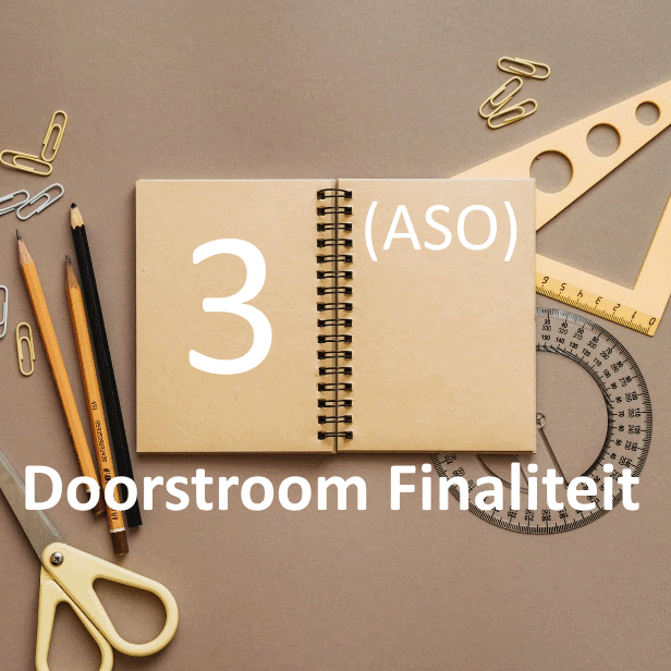 doorstroom finaliteit