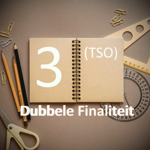 dubbele finaliteit